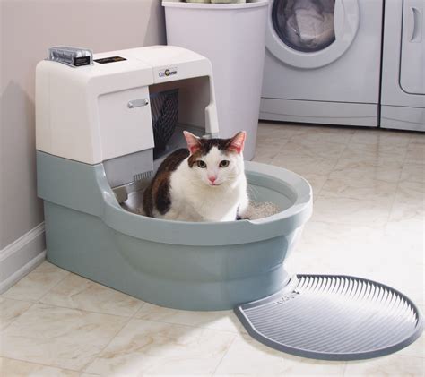 electric cat litter box reviews|least scary automatic litter box.